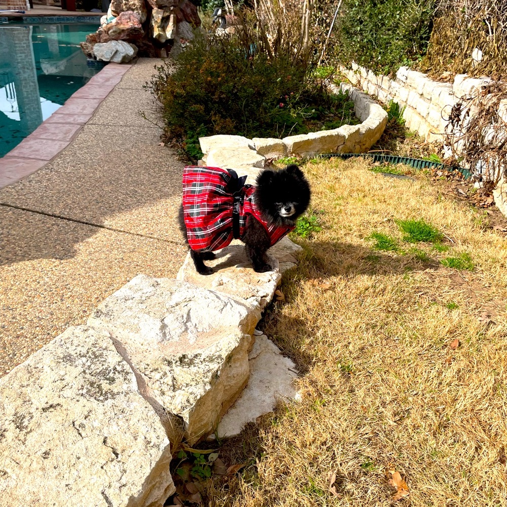 SimplyDog, Red & Black Plaid, Dog Dress, Size M